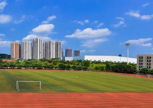 聚力质量跃升 书写教育华章