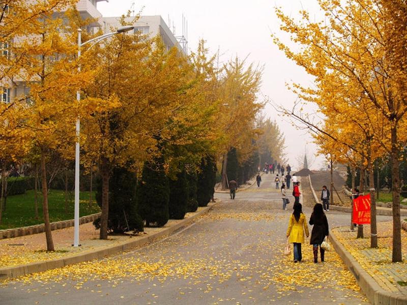 大学2023年秋季招聘会举办